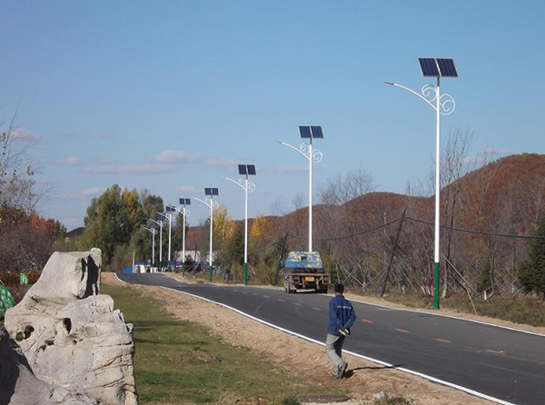 6米LED太阳能路灯_农村道路路灯案例_红富照明